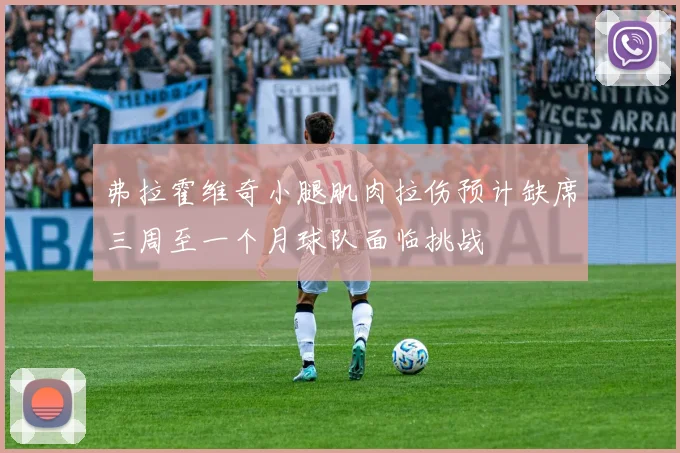 弗拉霍维奇小腿肌肉拉伤预计缺席三周至一个月球队面临挑战